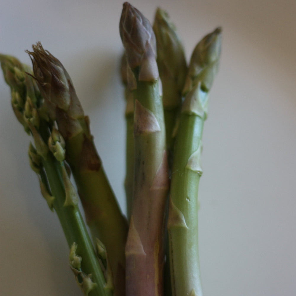 Growing Asparagus