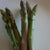 Growing Asparagus