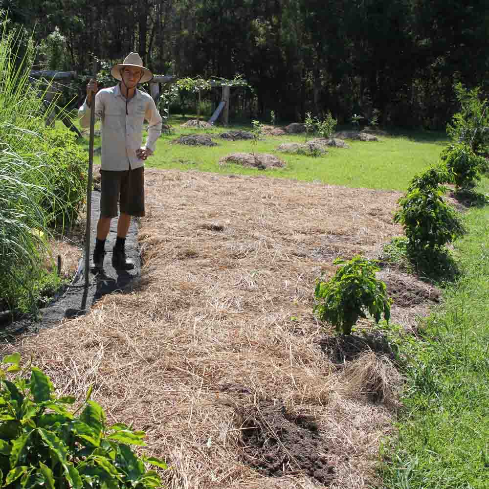 New Garden bed being built.