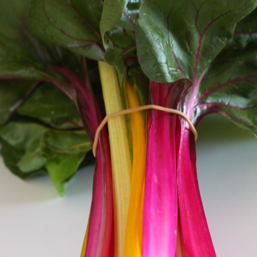 Silverbeet Rainbow Chard