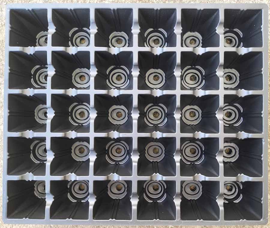 30 Cell Seedling Tray