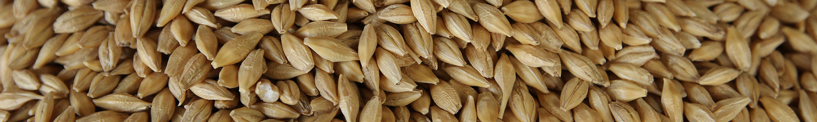 Greenpatch Banner 33