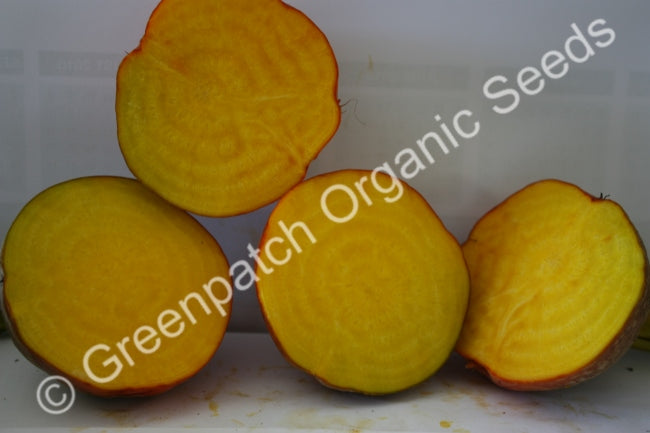 Beetroot - Burpee's Golden