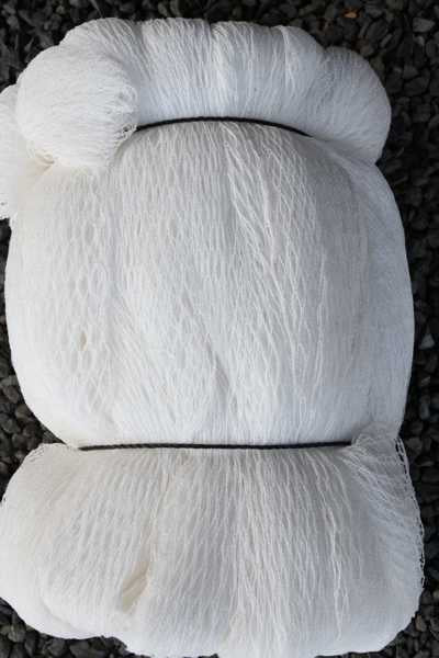 Pest and Disease Control