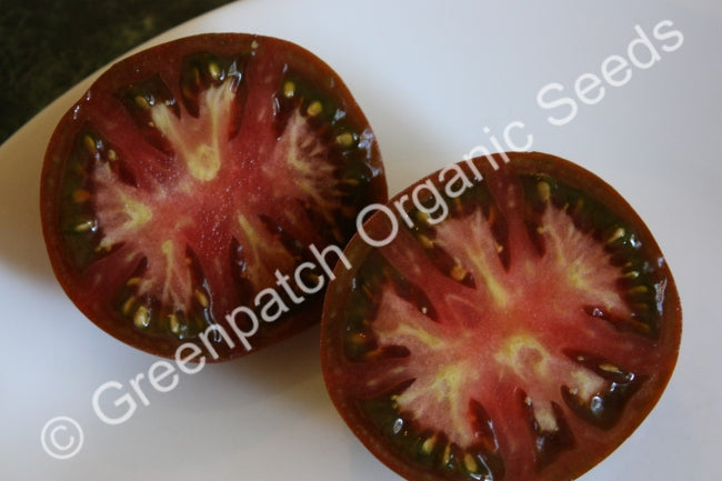 Tomato - Black Russian Plants