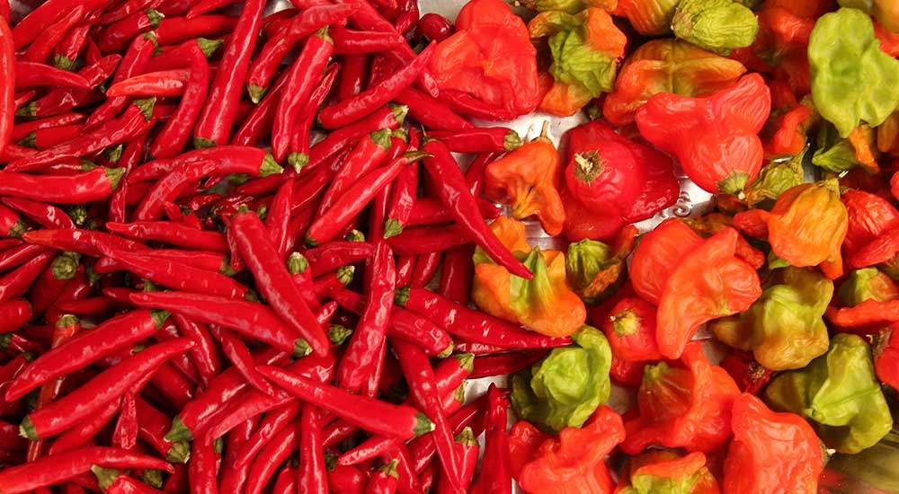 Greenpatch Paprika