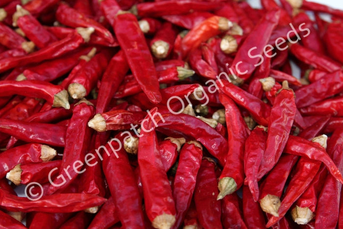 dry chilli seeds for planting Chilli Paprika Seed