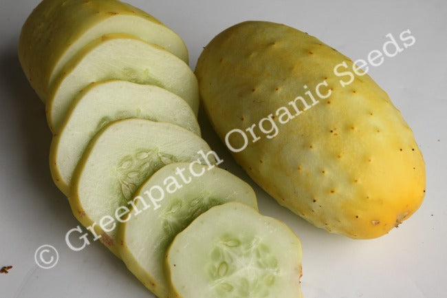 Cucumber German Pickling