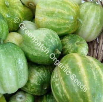 Richmond Green Apple Cucumber