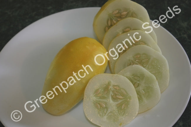 Giant Russian Cucumber Seed