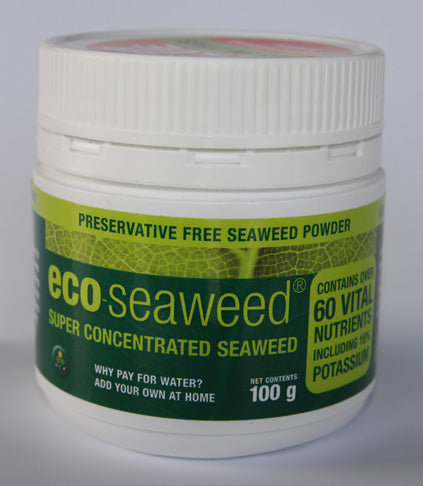 Eco Seaweed 100g