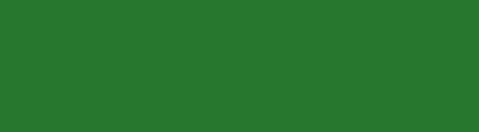 Green Banner 1800 x 500