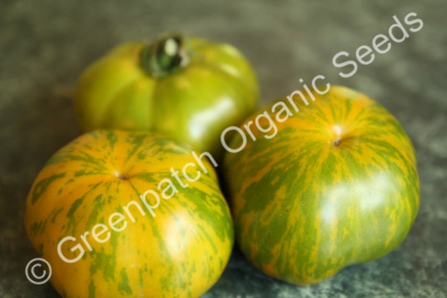 Tomato - Green Zebra Plants