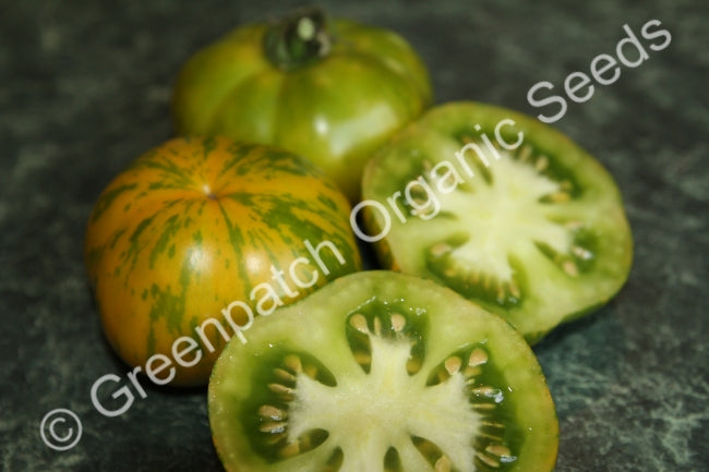 Tomato - Green Zebra Plants