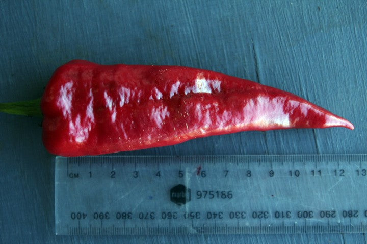 Chilli - Hungarian Sweet Paprika