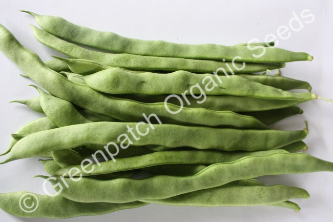 Bean Climbing - Lazy Housewife