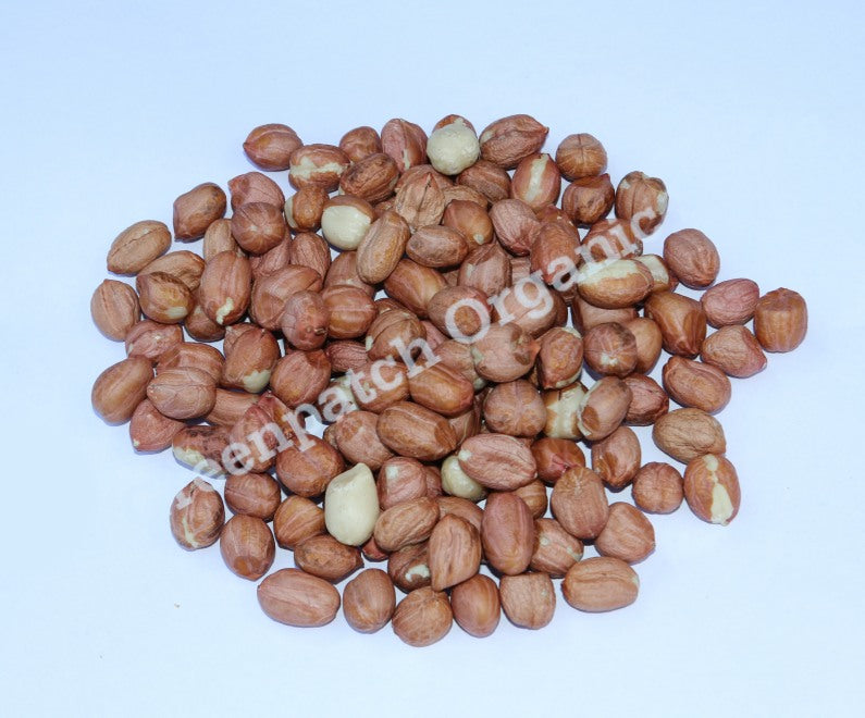 where to buy peanut seeds for planting Peanut Seed
