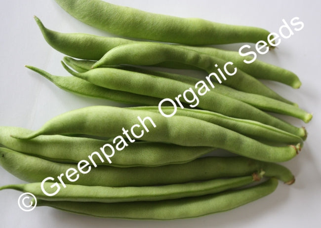 Bean Bush - Prestons