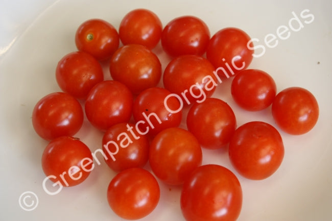 Tomato - Red Cherry Cocktail