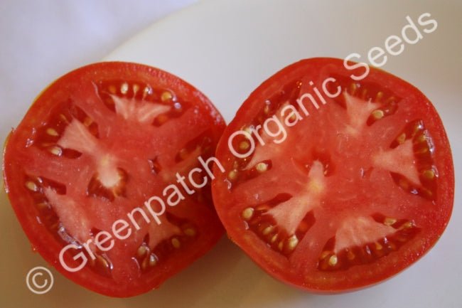 Tomato - Rouge de Marmande Plants