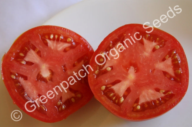 Tomato - Rouge de Marmande