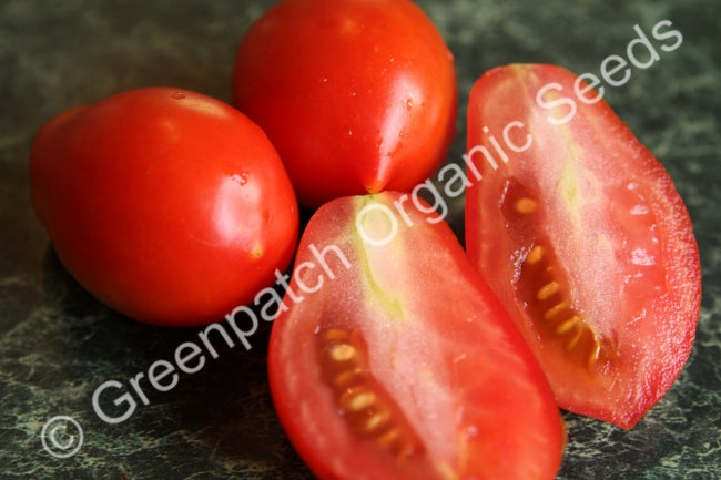 Tomato - San Marzano Lampadina