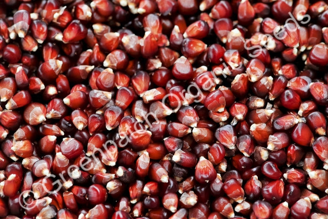 Corn Popcorn - Strawberry Mini