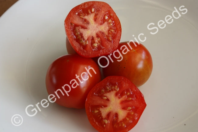 Tomato - Stupice