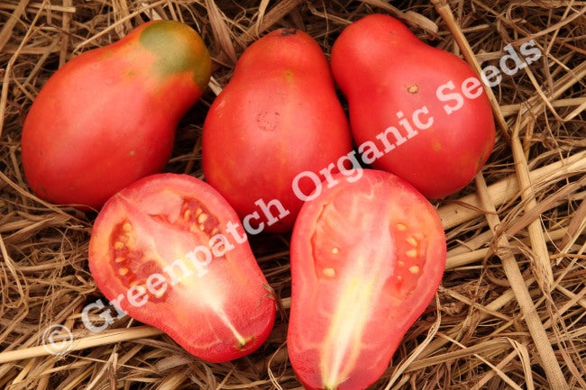 Tomato - New Zealand Pink Paste