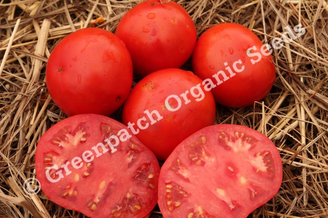 Tomato - Red Cloud