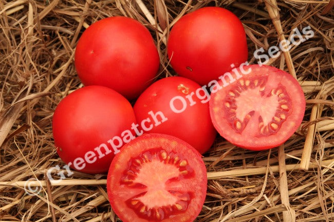 Tomato - Siberian Winter