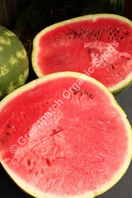 Watermelon - Warpaint