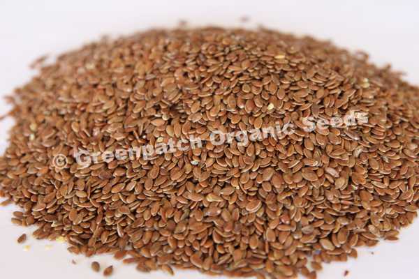 Linseed - Flax