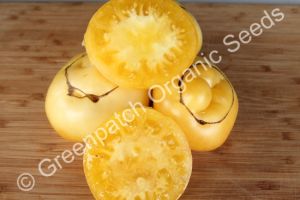 Tomato - Collossal Yellow